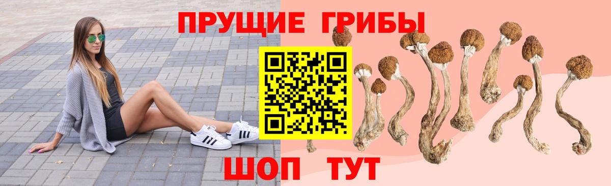 где найти   Вход с VPN  Грозный  Галлюциногенные грибы Magic Shrooms 
